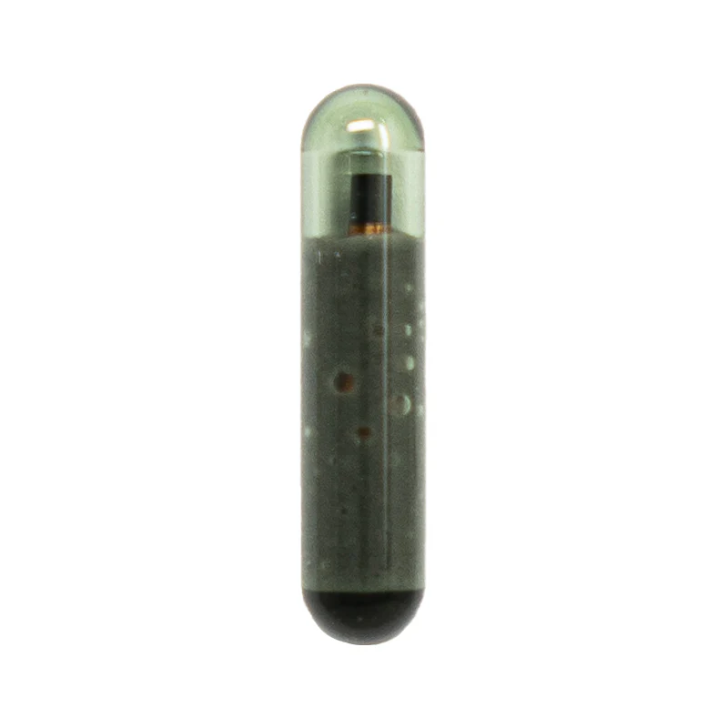 Miniatuur 1